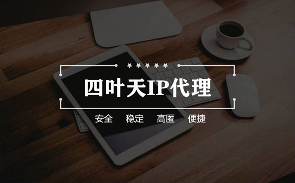 【赣州代理IP】如何快速搭建代理IP？怎么检查代理的效果？